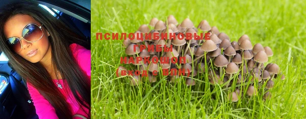 СК Осташков